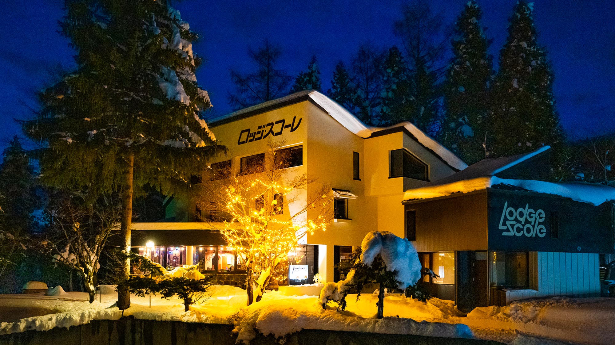 ・【夜間の外観】イルミネーション輝く、雪の宿