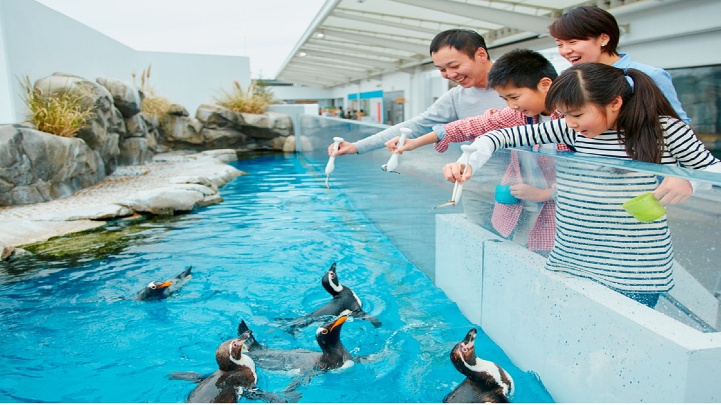 ■仙台うみの杜水族館■ご利用引換券付きプラン■《素泊まり》