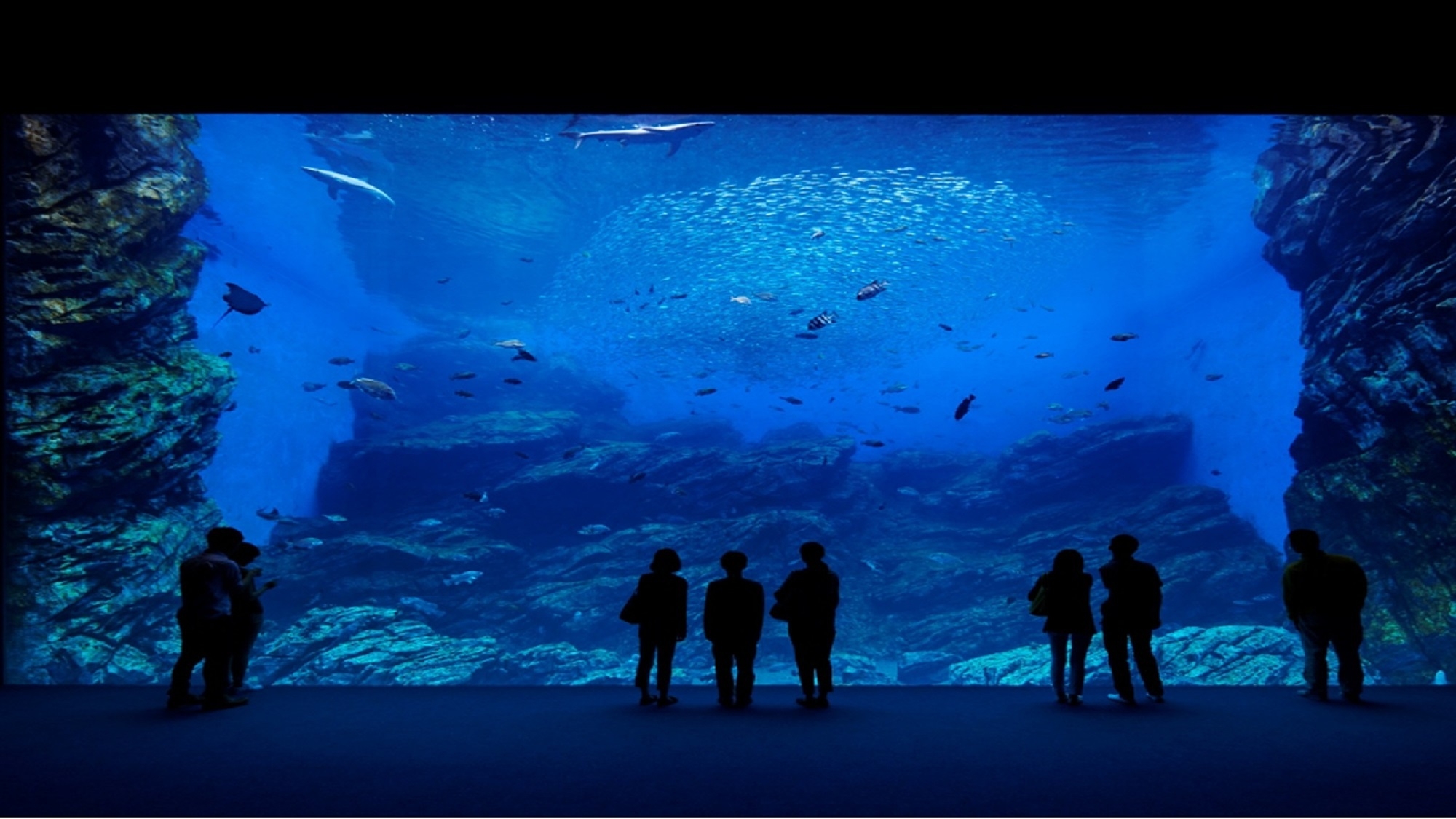 ■仙台うみの杜水族館■ご利用引換券付きプラン■《素泊まり》