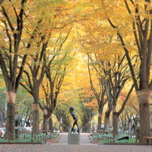 【プラン】　【定禅寺通り：秋】ケヤキ並木が色づいていてとってもキレイです♪