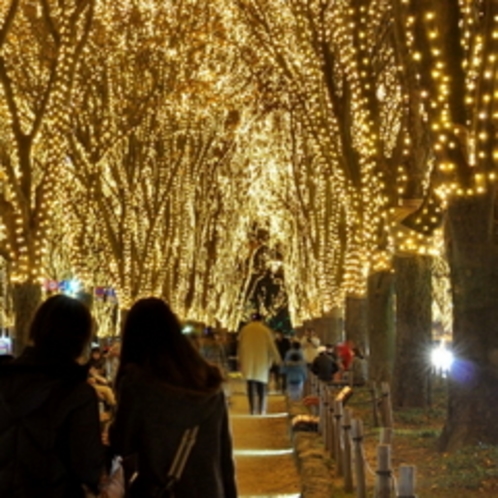 12月イベント_見るもの全てを魅了する光のページェント