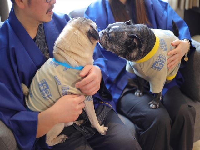 【記念日プラン 】愛犬・小さな家族と過ごす特別な夜◇貸切風呂＆スパークリング・お部屋食付 ペット可