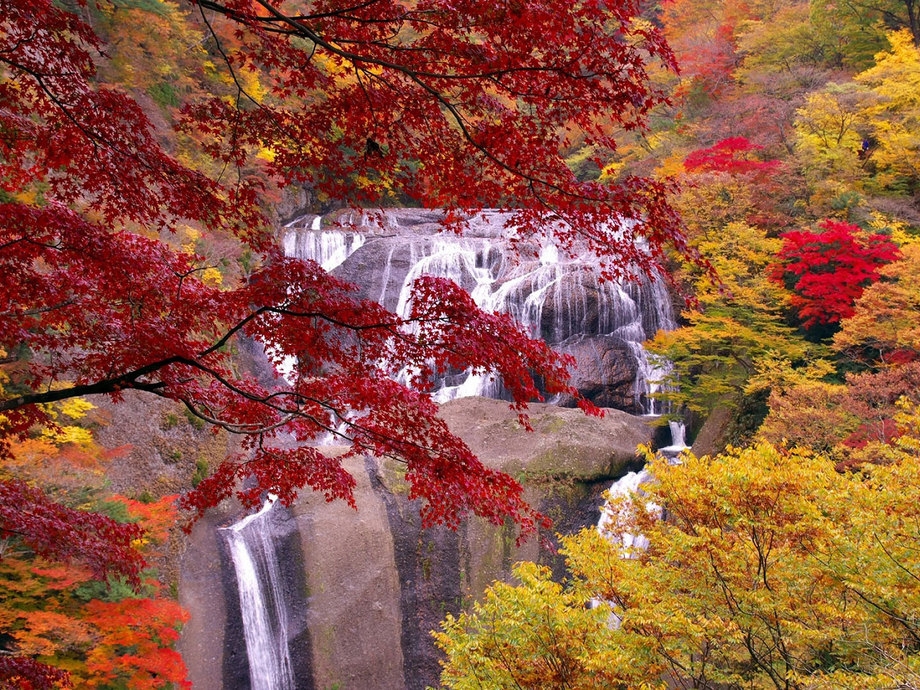 【日本三大名瀑 袋田の滝】入場券付きでもスタンダード料金！大自然と温泉を満喫する旅【2食付き】