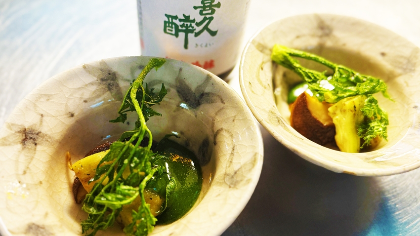 【JR静岡駅・送迎付き】和の設にリニューアル☆貸切風呂が大好評！たっぷり源泉に浸かり自然と調和を体感