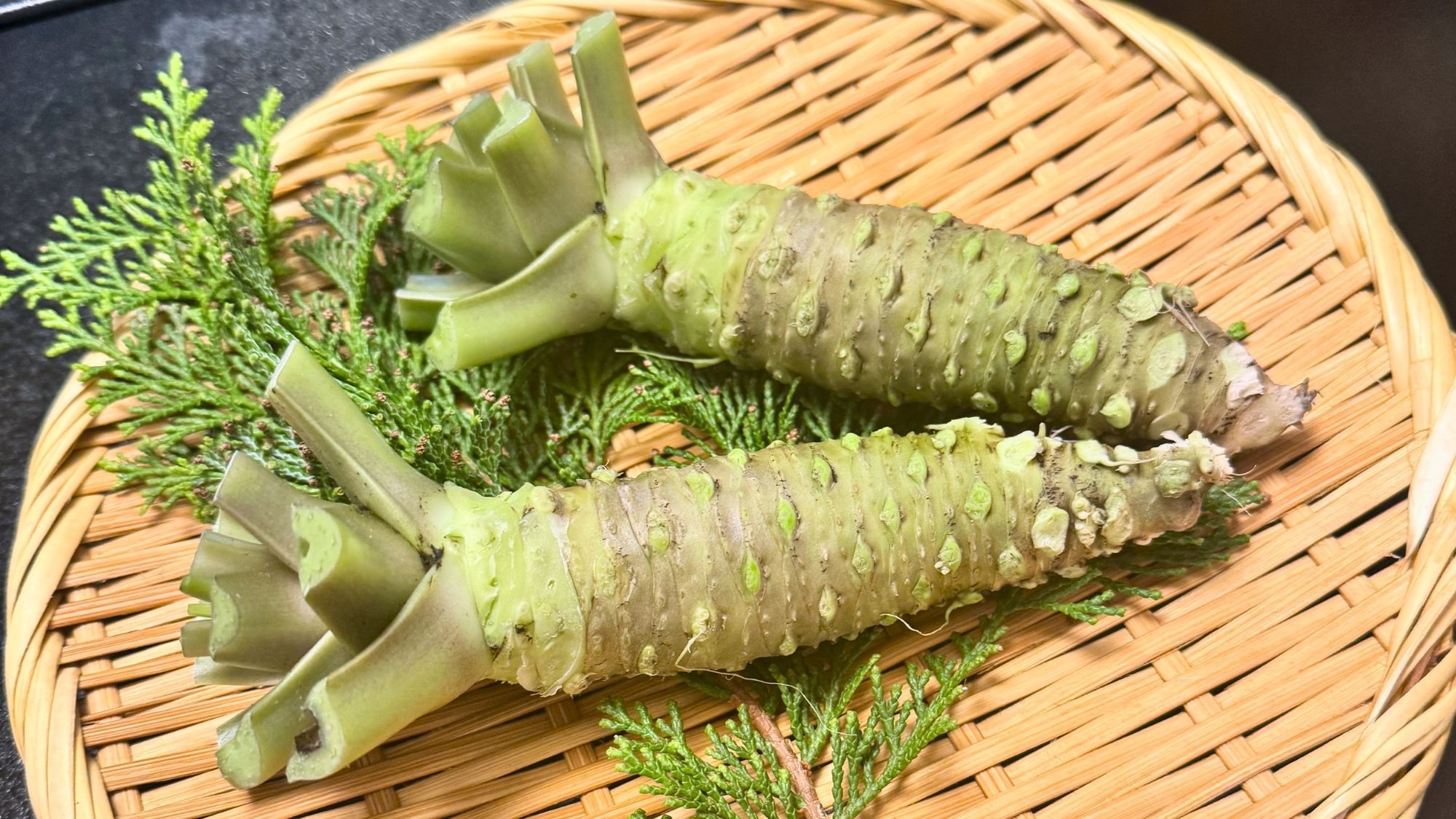 【スタンダードプラン】駿河軍鶏鍋◆旨味溢れる軍鶏と静岡産牛肉・アマゴ等奥駿河の旬の美食をご用意