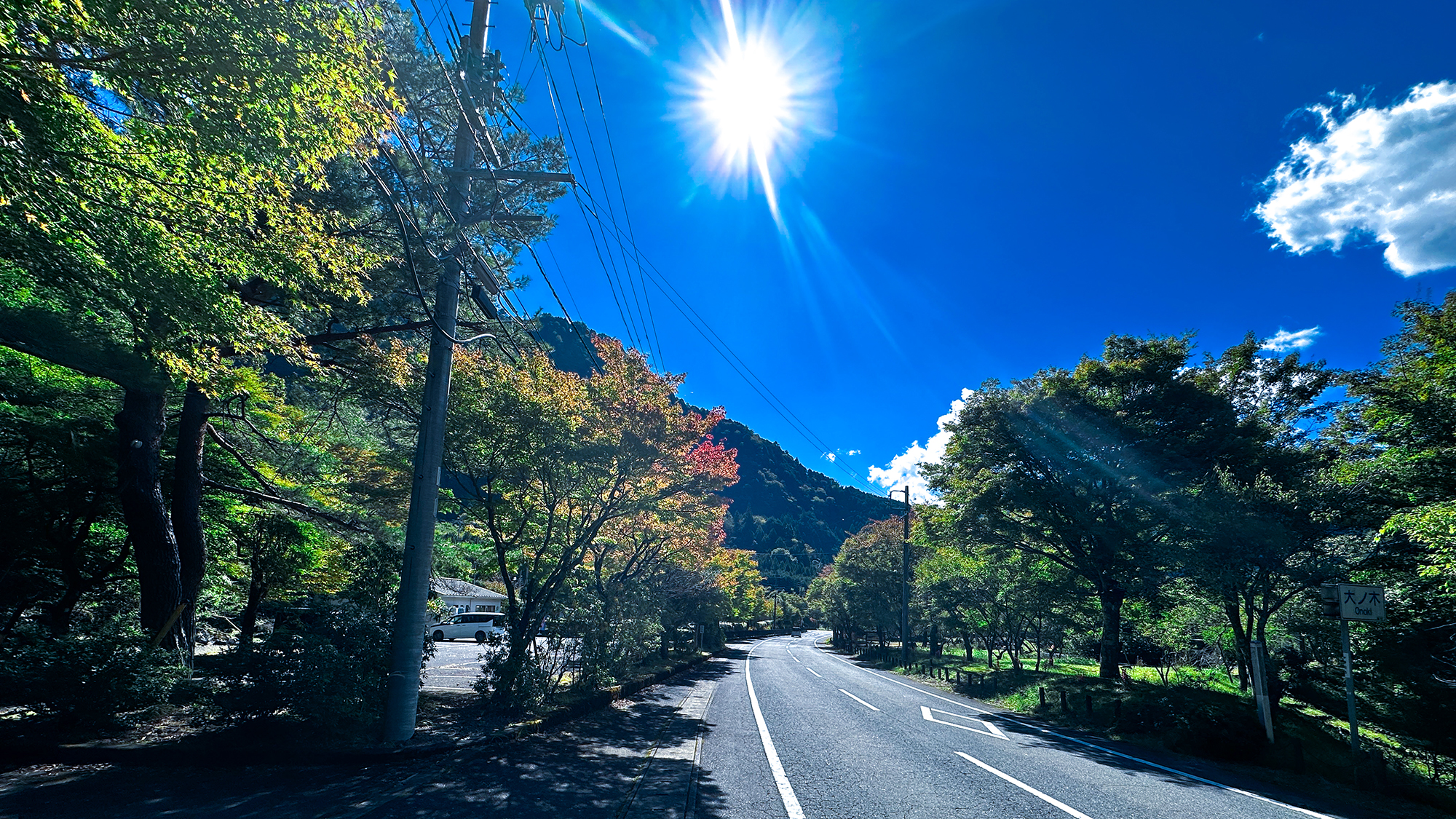 【大野木のバス停】当館から徒歩5分・公共交通でお越しの方こちらのバス停が目印です。