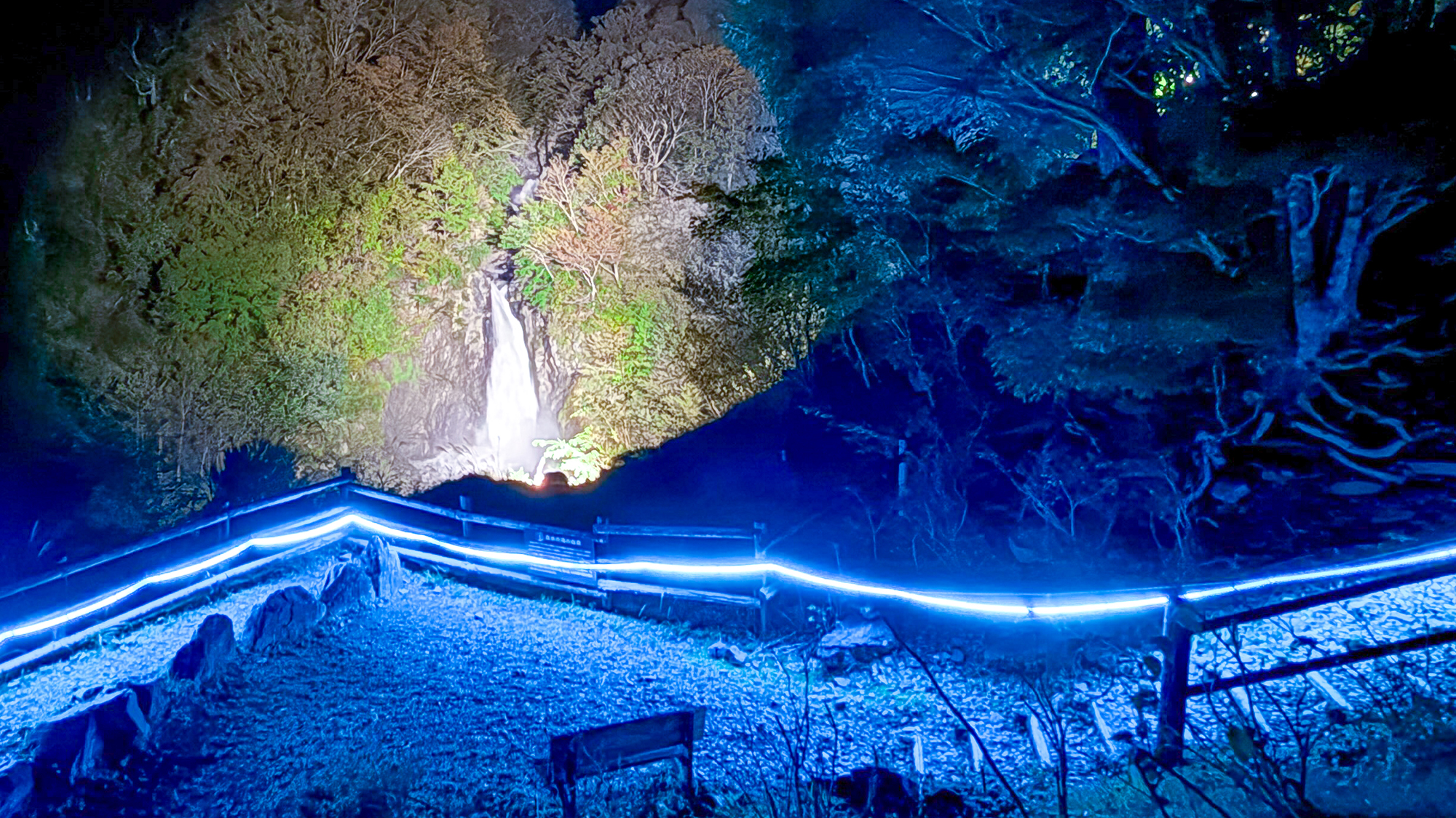 【コンヤの里・桜公園】当館から徒歩約10分・桜の季節は夜間ライトアップも行います。