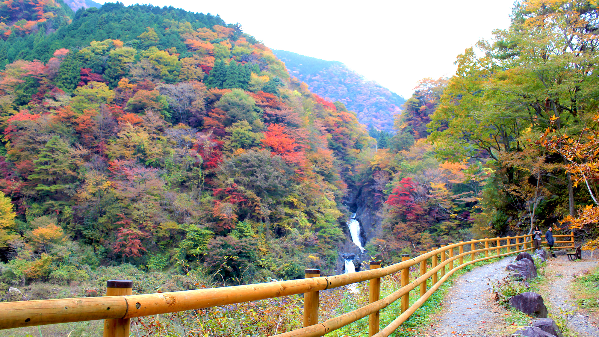 秋の赤水の滝