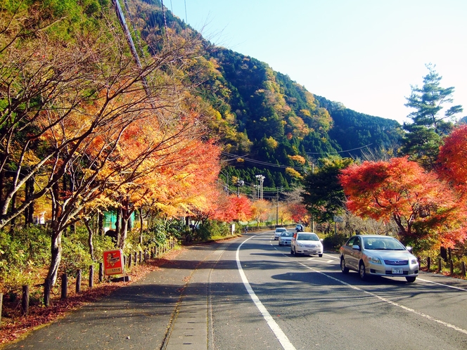 20　紅葉の夕暮れ