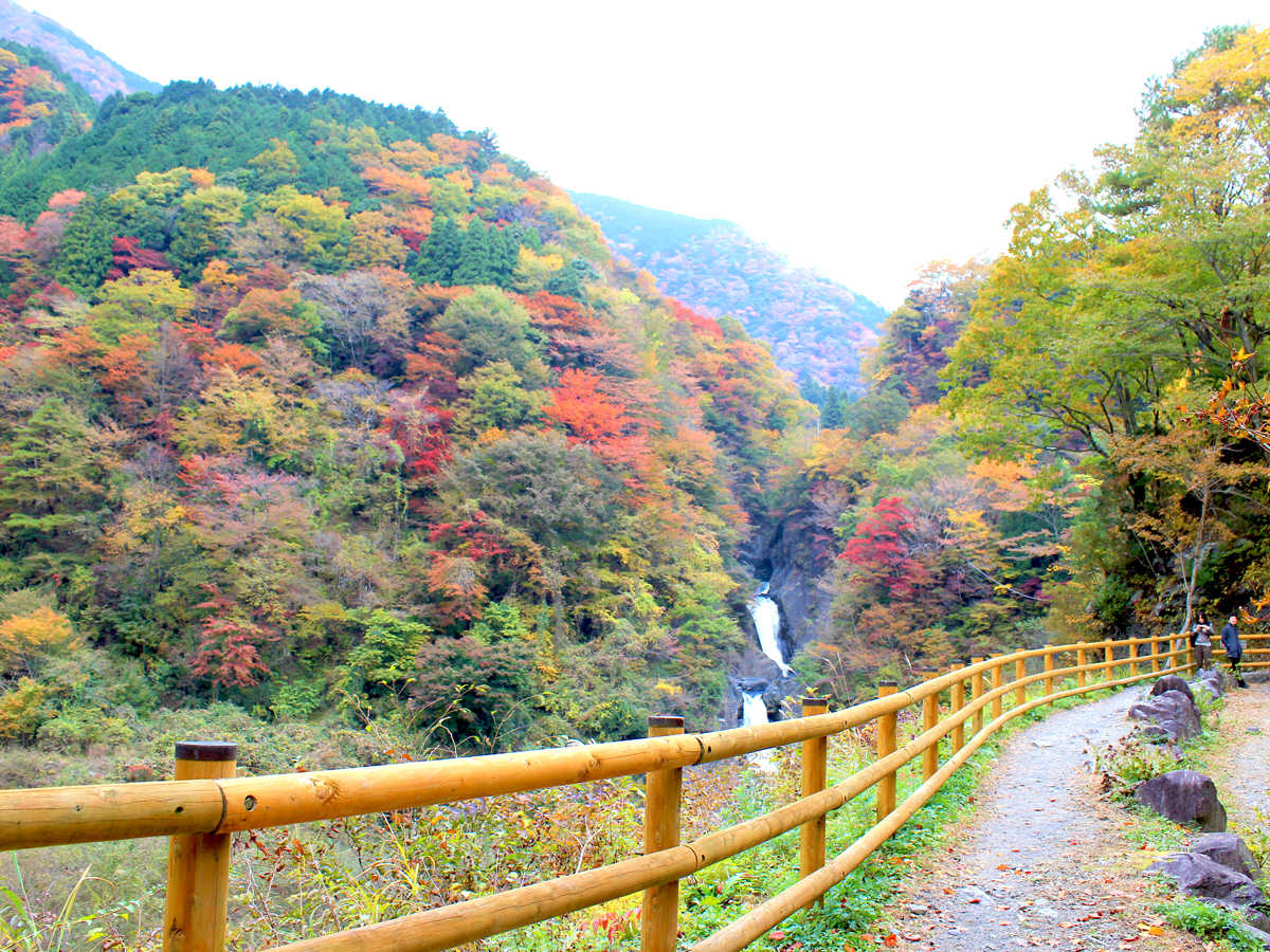 20　赤水の滝の紅葉