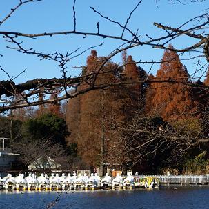 吉祥寺東急ＲＥＩホテル - 写真 63