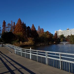 吉祥寺東急ＲＥＩホテル - 写真 64