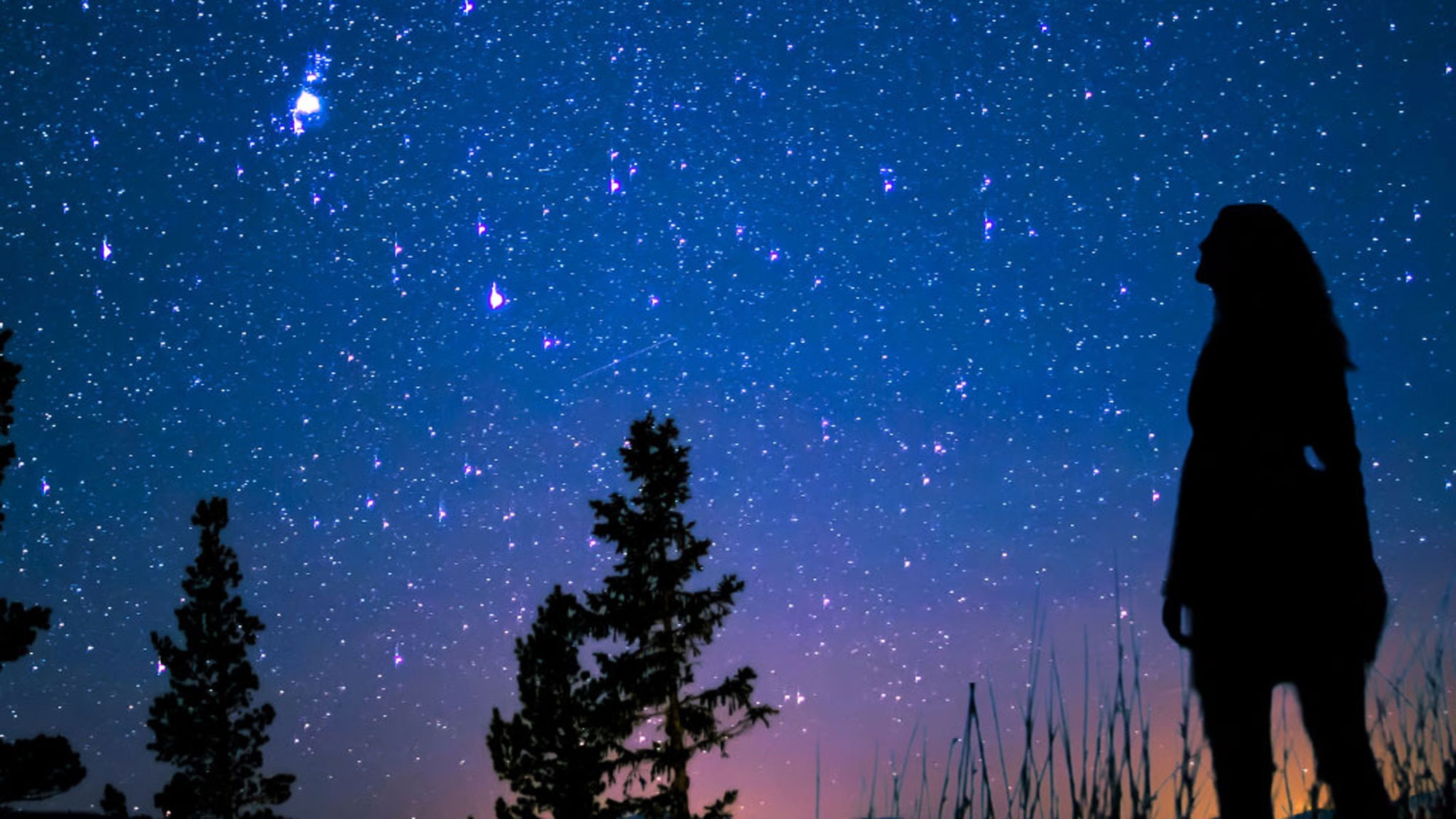 【夏休み限定】星空探検プランナーと楽しむ★夏の星空観賞体験プラン（2食付）