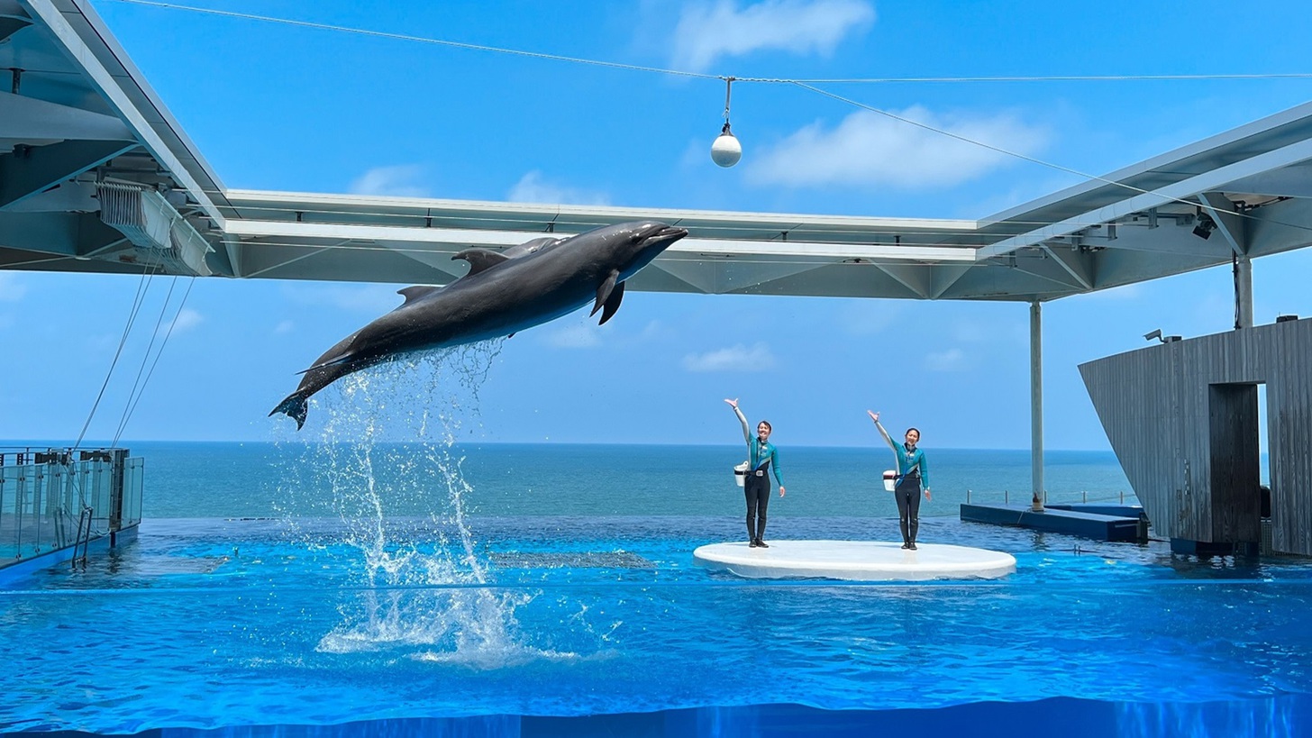 海について学ぼう！上越市立水族博物館「うみがたり」★チケット付宿泊プラン★(2食付）