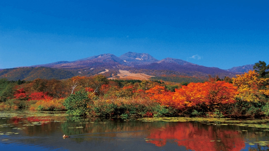 いもり池と妙高山の紅葉