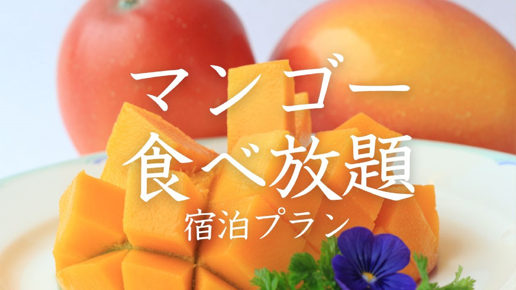 【期間限定】マンゴー食べ放題付き宿泊プラン（夕・朝食付き）