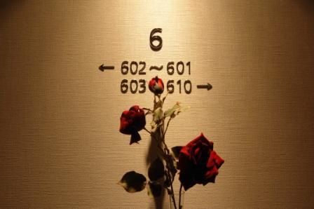 Guest room floor in front of EV