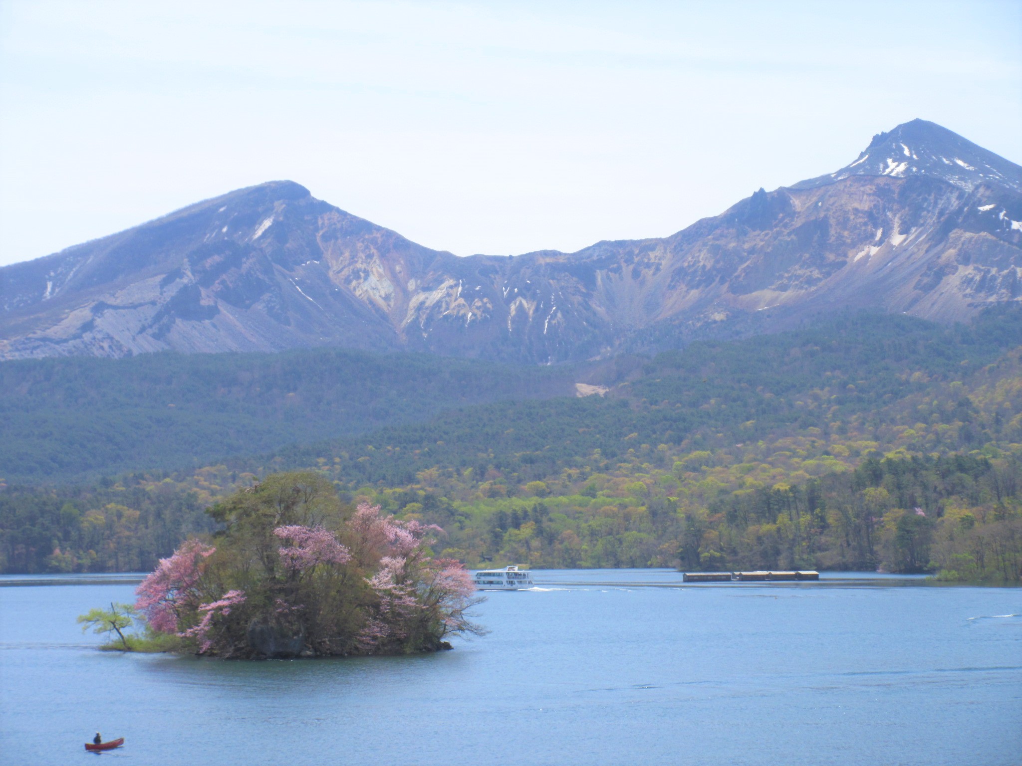 桜が咲いた桜島