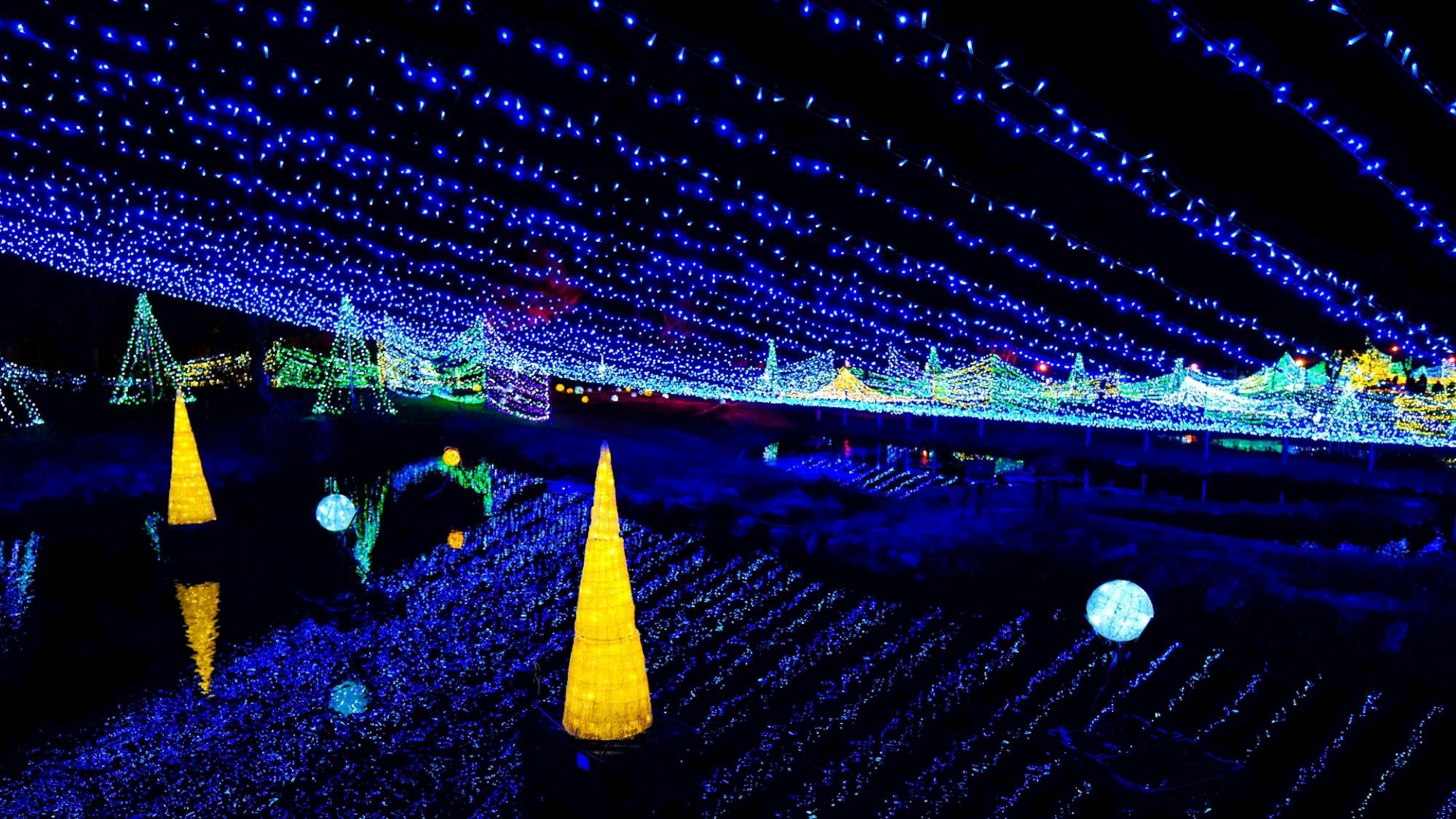 【冬のイルミネーション〜光の森のページェント2023】入園券付プラン＜1泊朝食＞幻想的な世界を楽しむ
