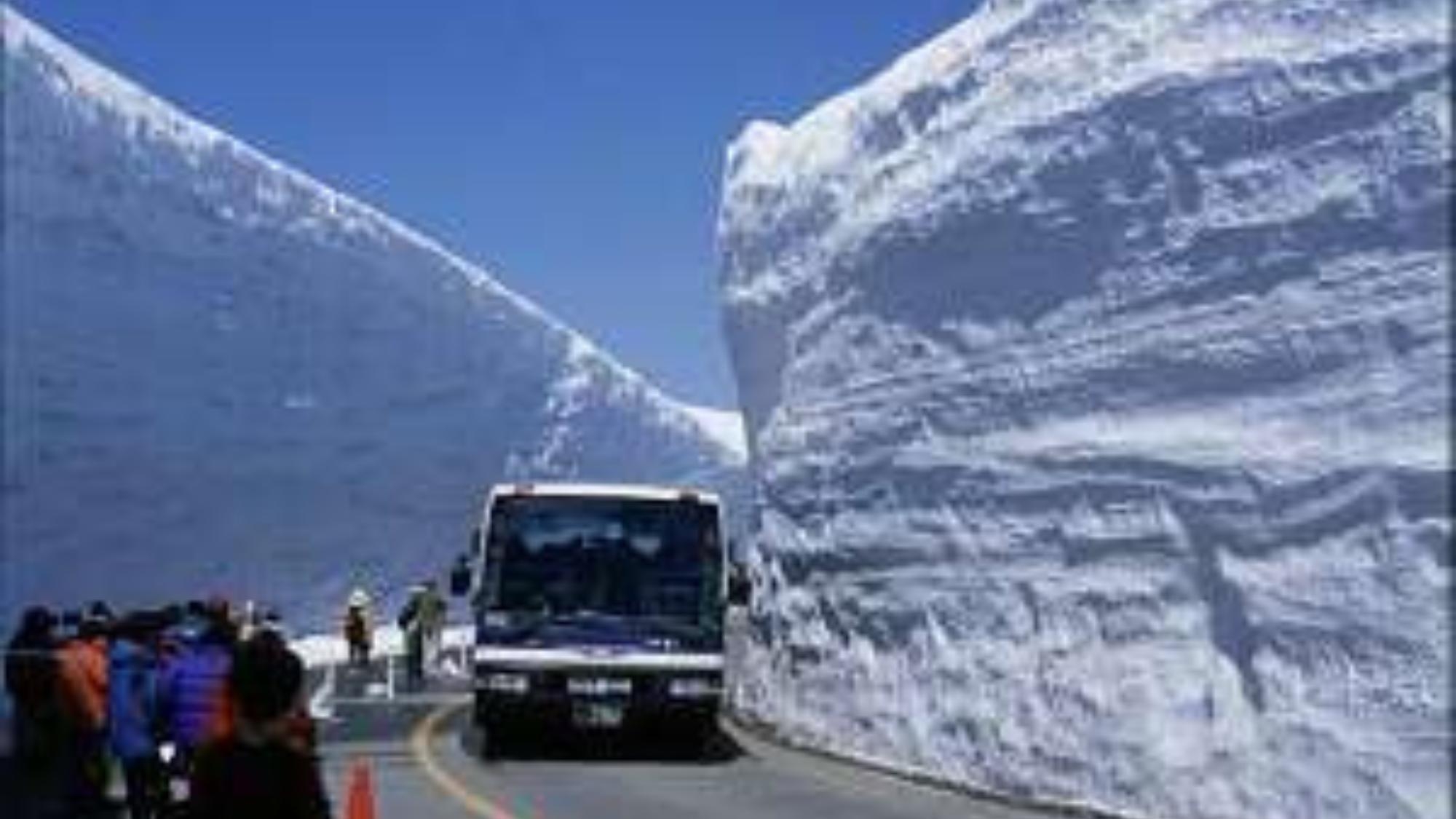 【春の訪れアルペンルート】雪の大谷は早めの予約で10％off！〇信州ポークに舟盛りも付く＜楽コース＞