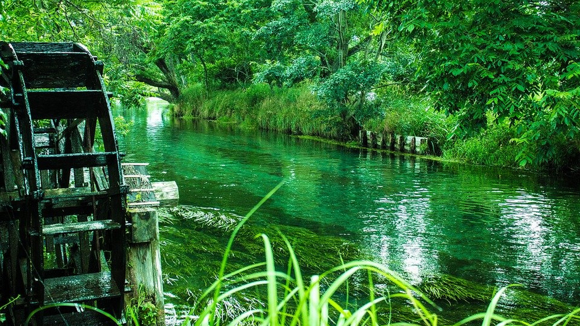 春の安曇野。美しい水辺に癒されます。