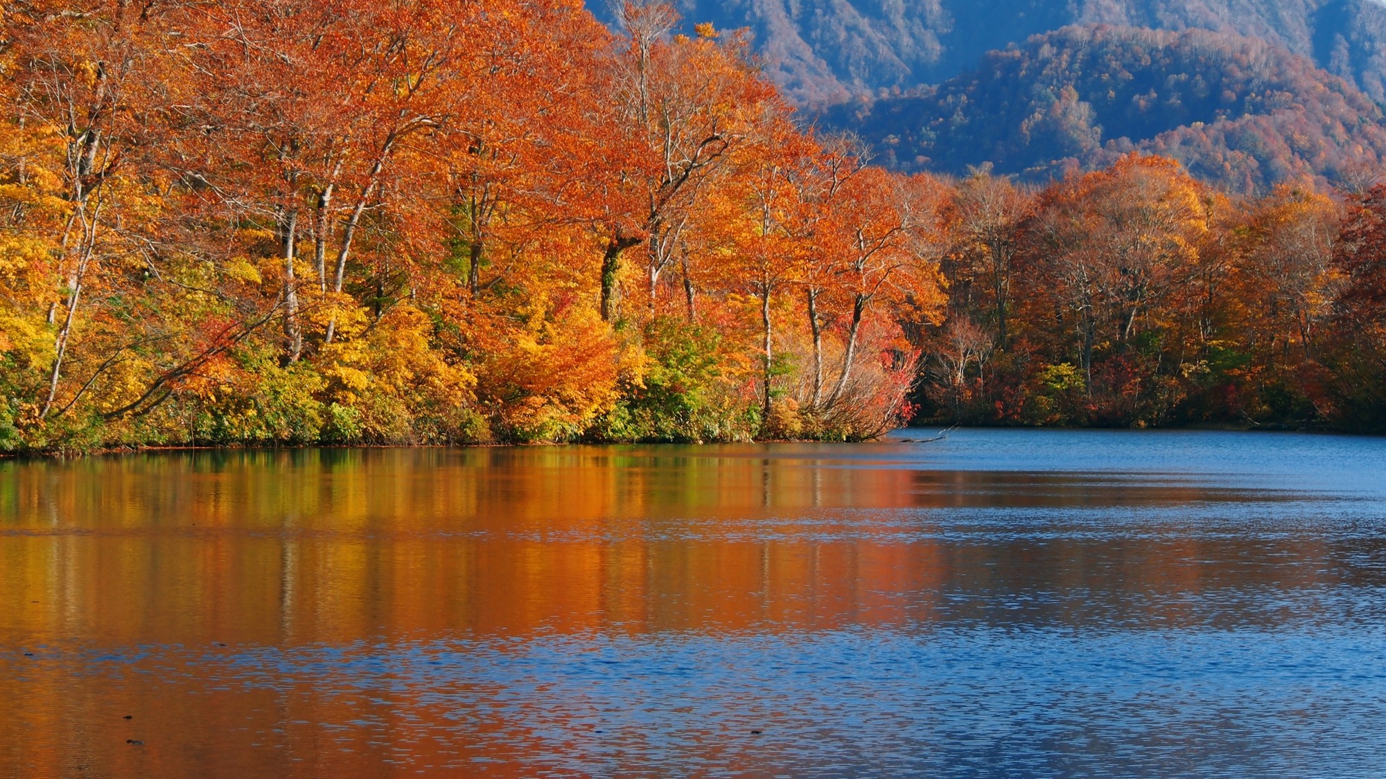 大自然に囲まれた信州ならではの秋の景色