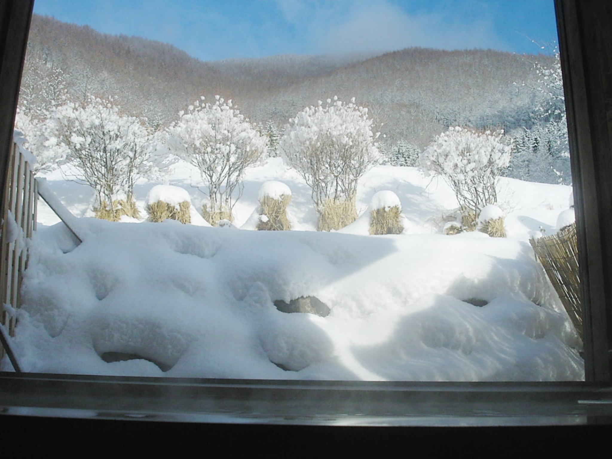 【価格重視　1泊2食付】乳白色のにごり湯と涼風の世界！〜乗鞍高原物語〜　