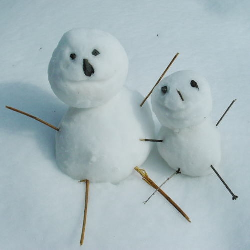 人気NO.1【基本プラン1泊2食付】≪信州生まれ・信州育ち≫こだわり食材と白い濁り湯にほっと一息