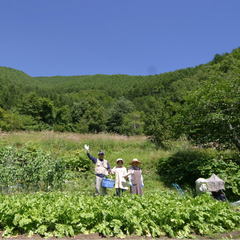 自家農園　自慢の高原野菜をどうぞ