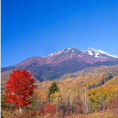 乗鞍岳と紅葉
