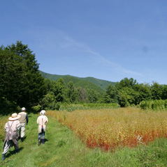 自家農園　安心・安全　自慢の野菜をご提供します