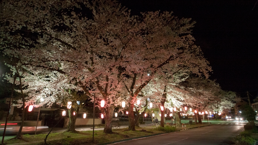 □【飯田の桜・大宮通り桜並木】桜の花トンネルや花絨毯を歩くことができます(当館よりお車約15分)