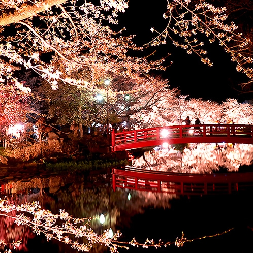 臥竜公園（須坂市）の夜桜