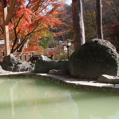 塩原元湯温泉 秘湯の宿 元泉館 格安予約 宿泊プラン料金比較 トラベルコ 塩原元湯温泉 秘湯の宿 元泉館 格安予約 宿泊プラン料金比較 トラベルコ