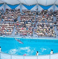 伊豆三津シーパラダイス「ショー風景」