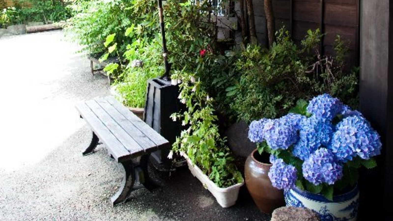 【外観】初夏の玄関前