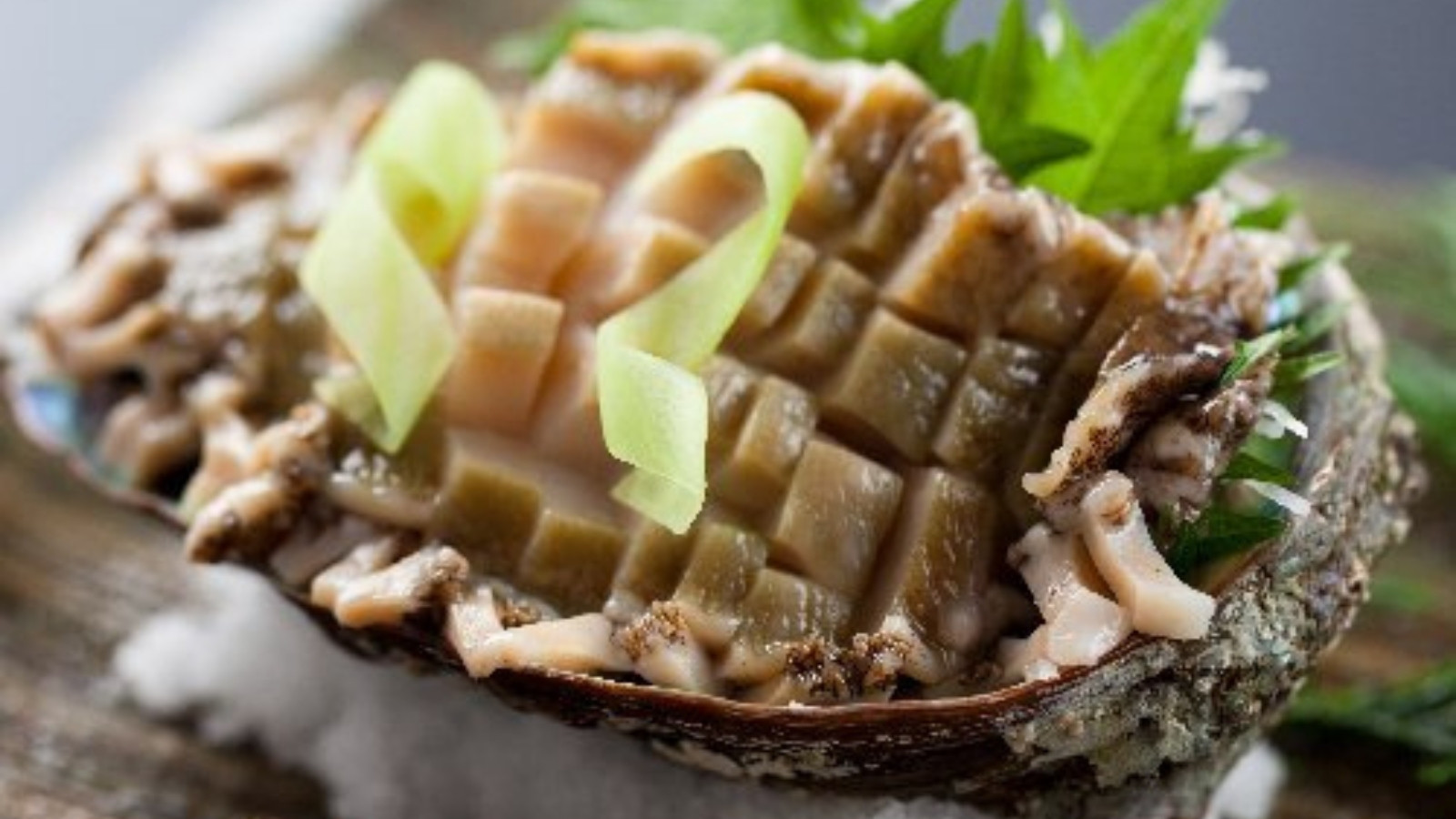 【プラン＆別注料理】活けアワビお造り