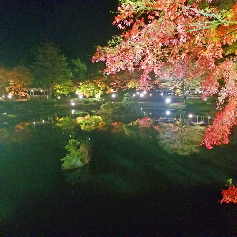 紅葉を迎える虹の郷。期間限定ライトアップも♪