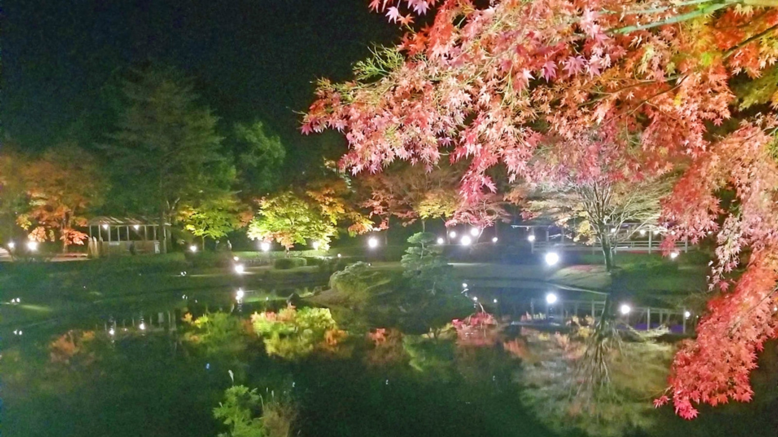 紅葉を迎える虹の郷。期間限定ライトアップも♪