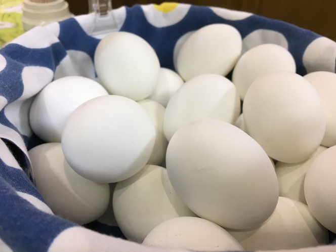 卵は栄養価の高いスーパーフード！_ゆでたまご
