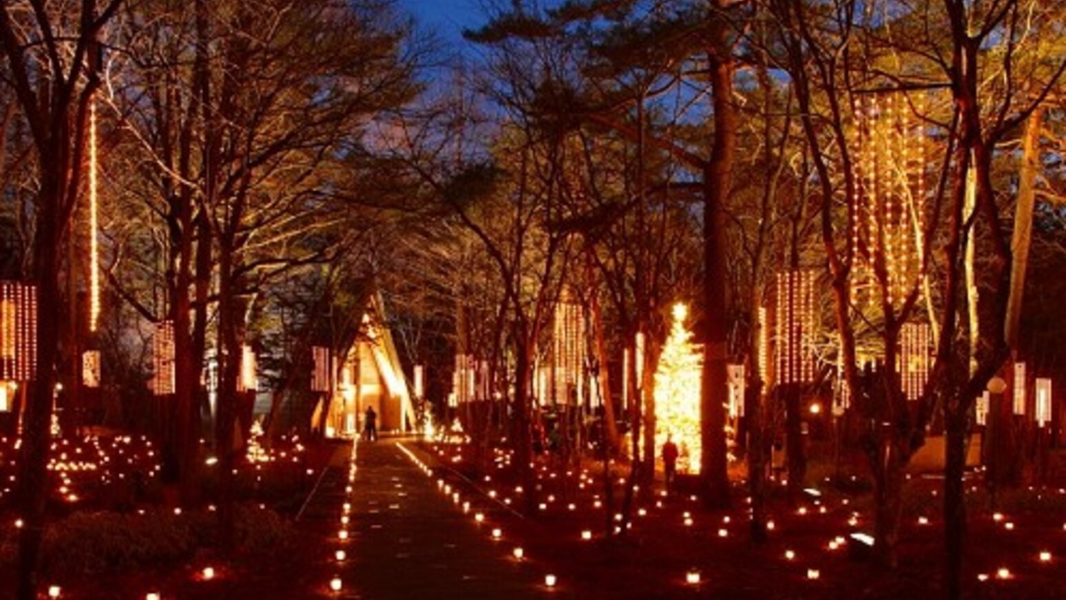 【Happy Xmas】南仏プロヴァンスのクリスマスディナー.・★スパークリングワインお一人様１杯付