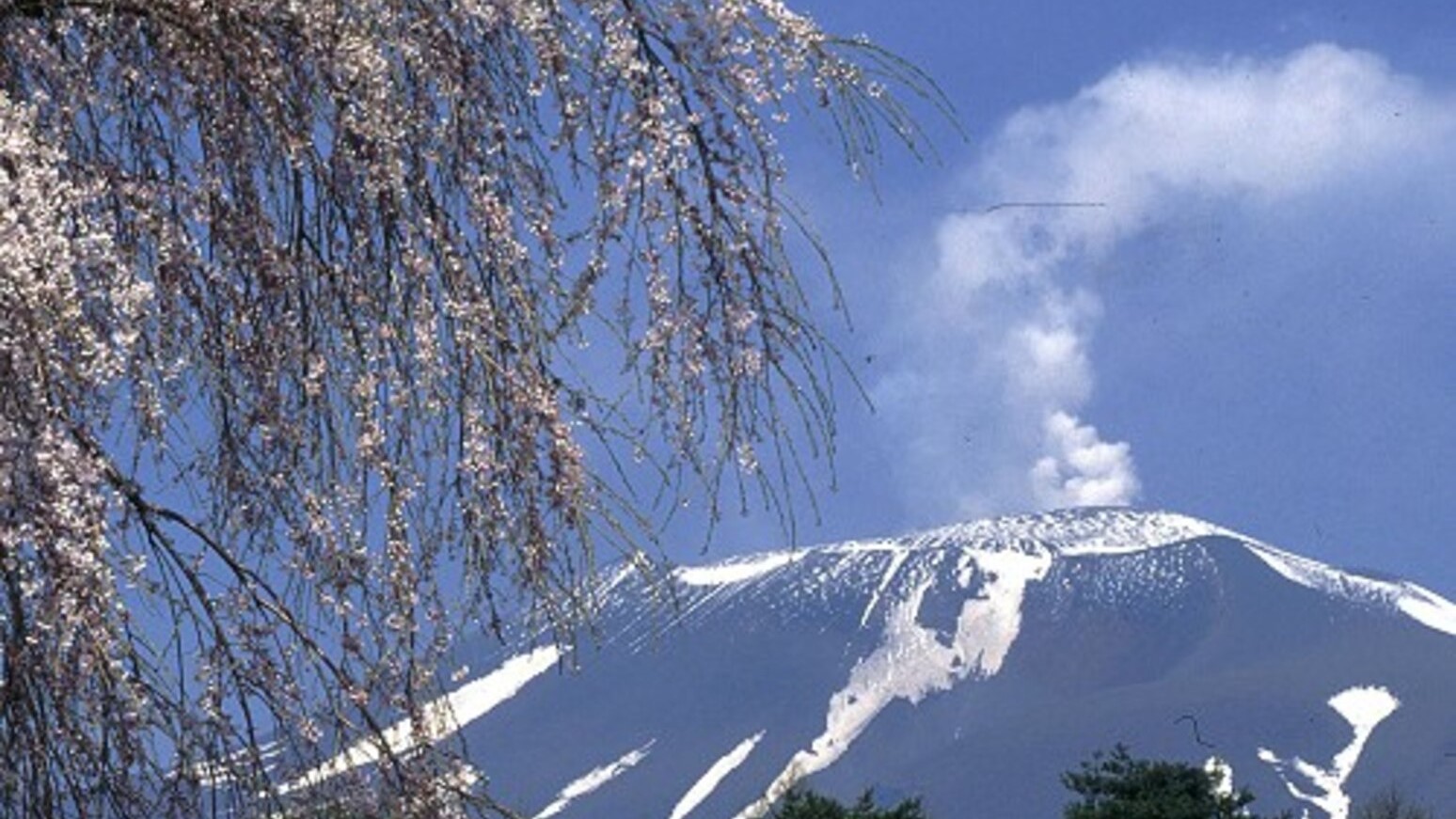 ■春の浅間山