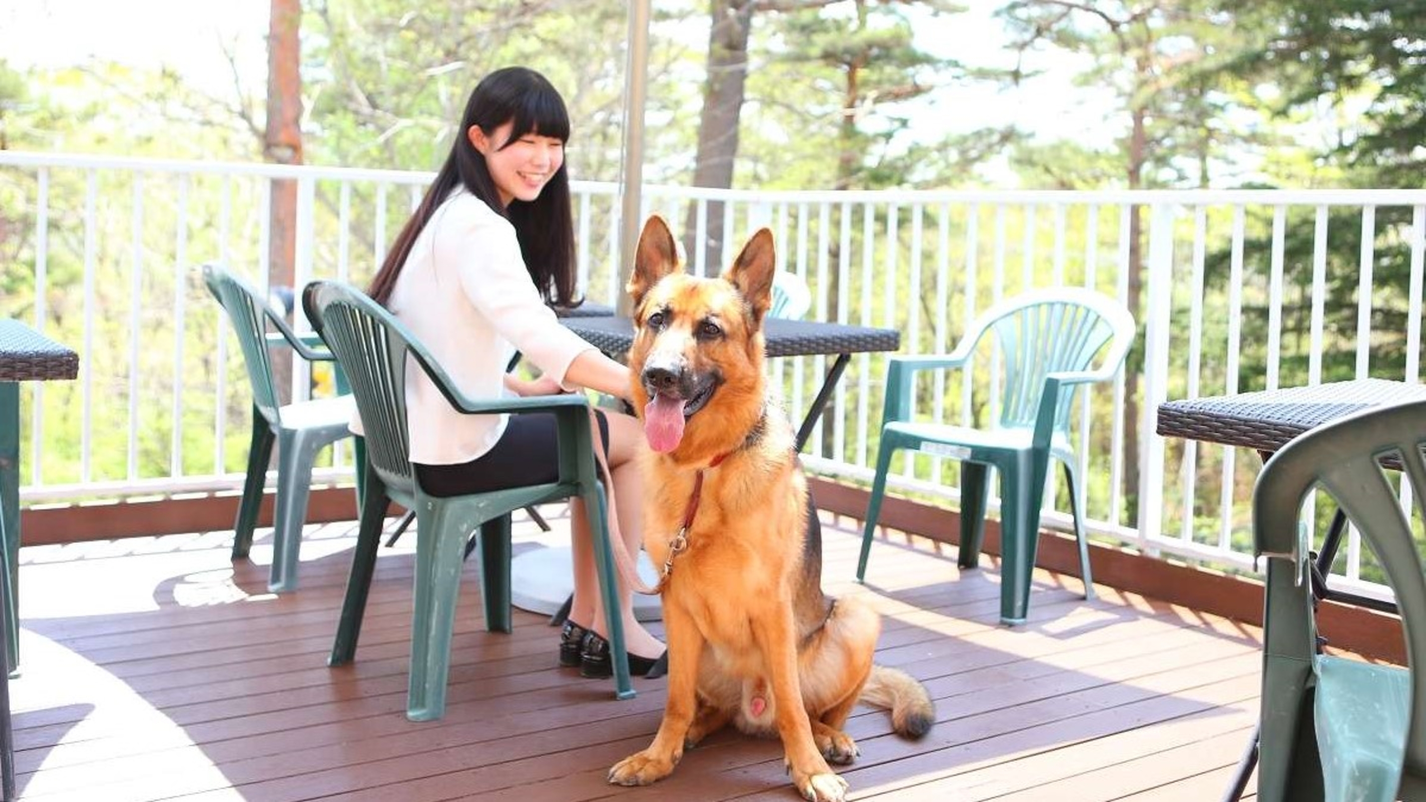 軽井沢 ホテルそよかぜ 設備 アメニティ 基本情報 楽天トラベル 軽井沢 ホテルそよかぜ 設備 アメニティ 基本情報 楽天トラベル