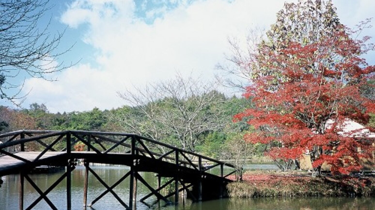 ■紅葉の塩沢湖