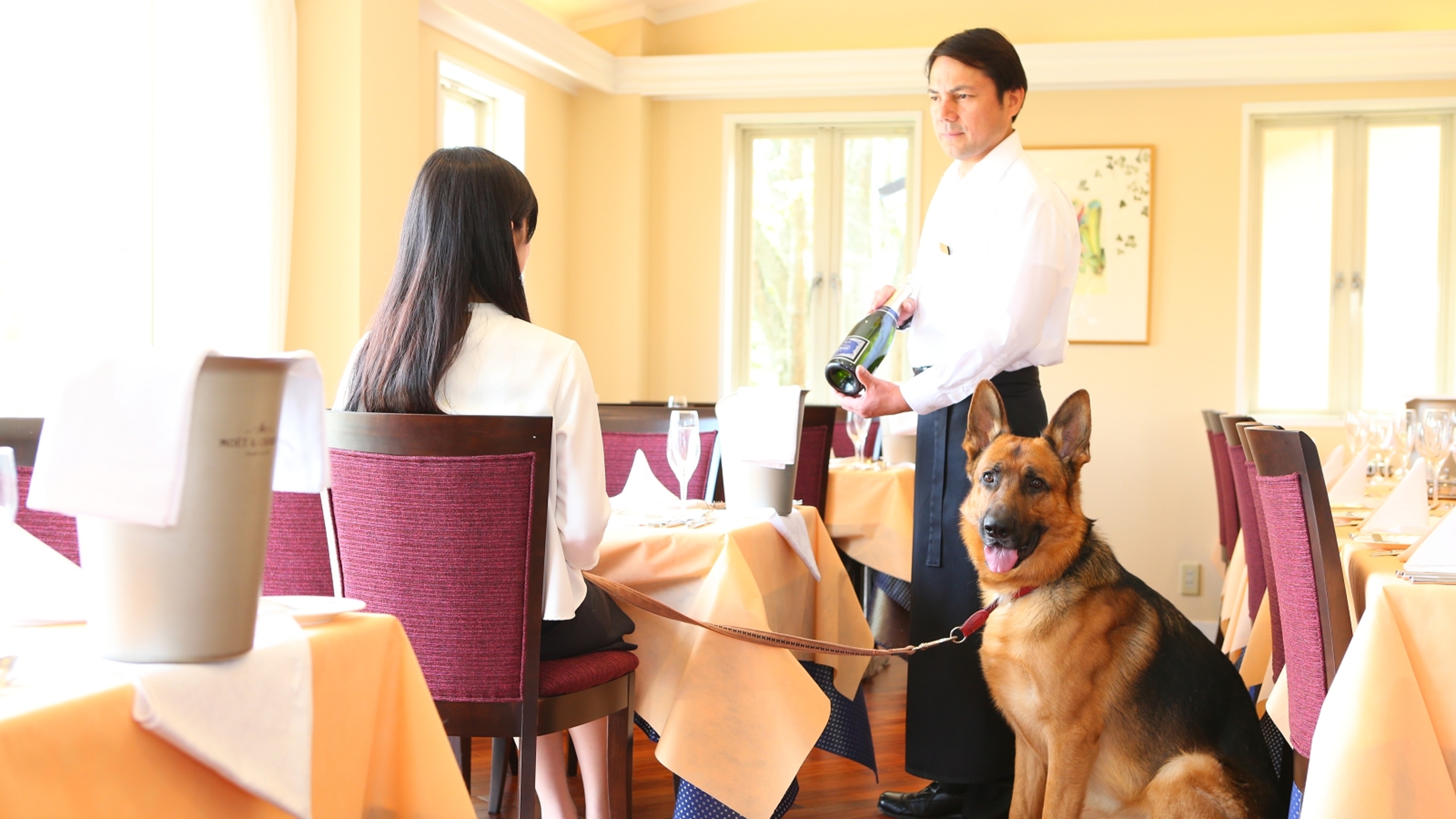 軽井沢 ホテルそよかぜ 設備 アメニティ 基本情報 楽天トラベル 軽井沢 ホテルそよかぜ 設備 アメニティ 基本情報 楽天トラベル