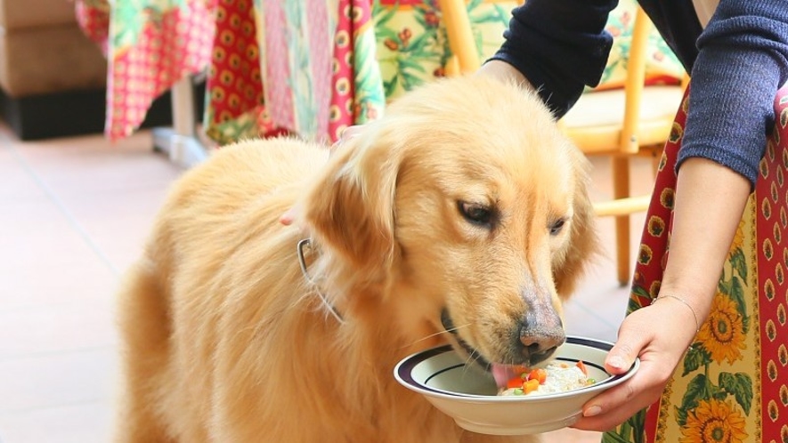 楽しくお食事中♪