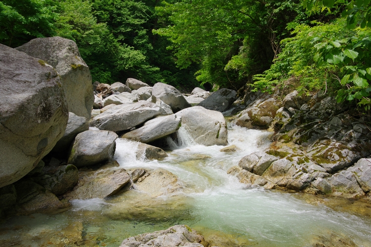 尾白川渓谷