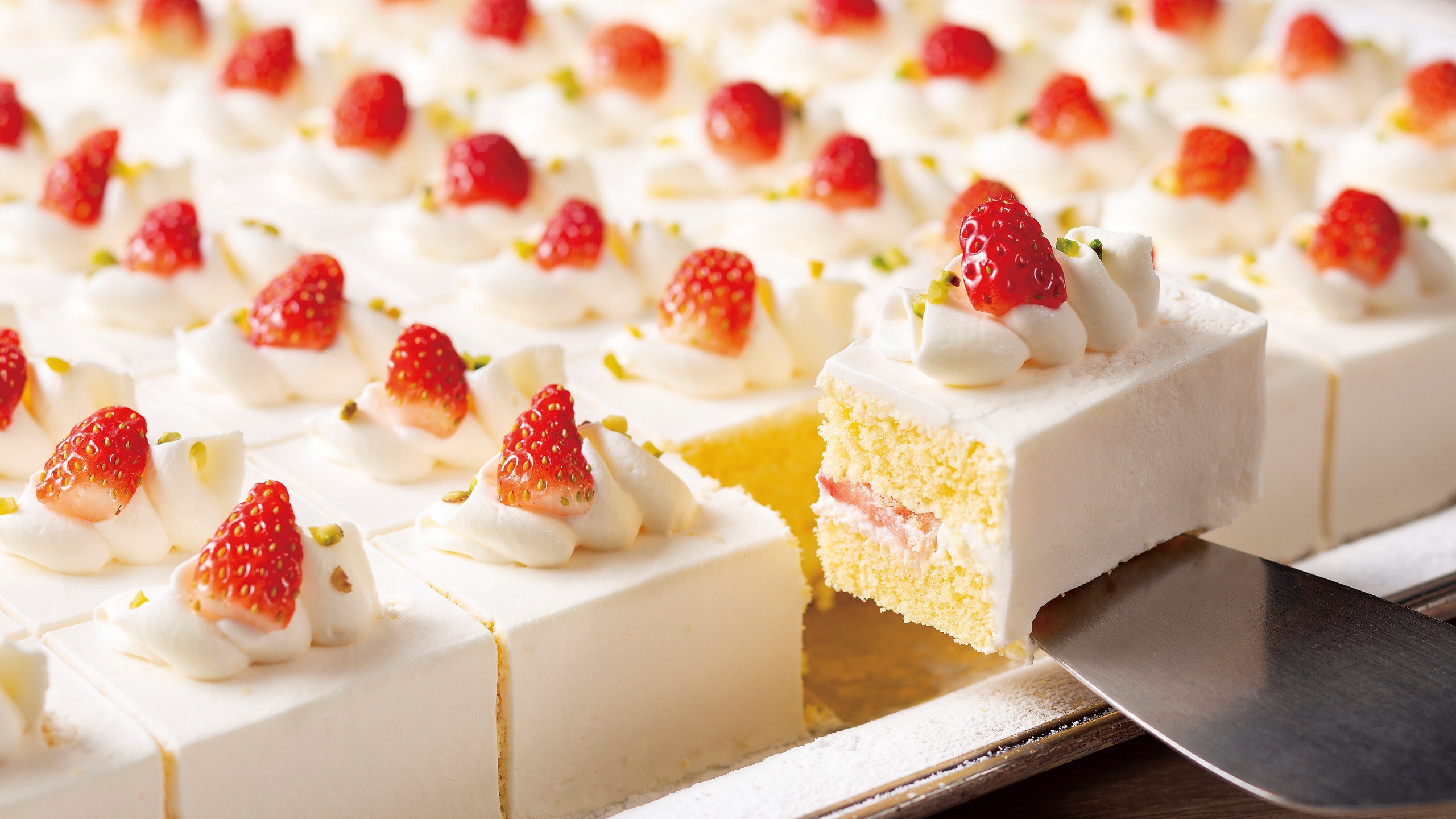  ■【スカイクルーズマクハリ】ランチタイムサービス限定：ジャンボショートケーキ