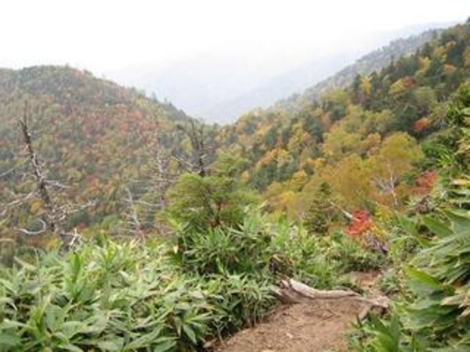 帝釈山