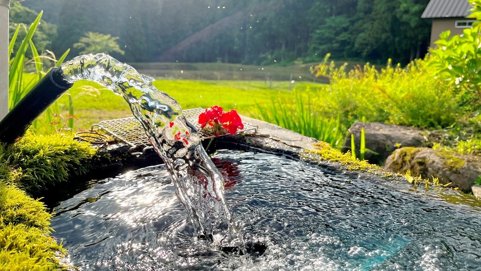 【直前割】お日にち限定　スタンダードプランを割引き価格で！〜１泊２食〜